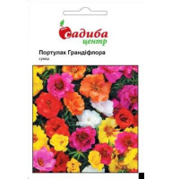 Насіння Портулак Грандіфлора суміш СЦ 0,02 г