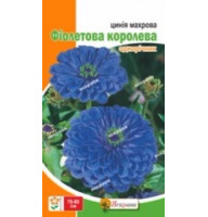 Насіння цінііі махрової Фіолетова Королева 0,5 г