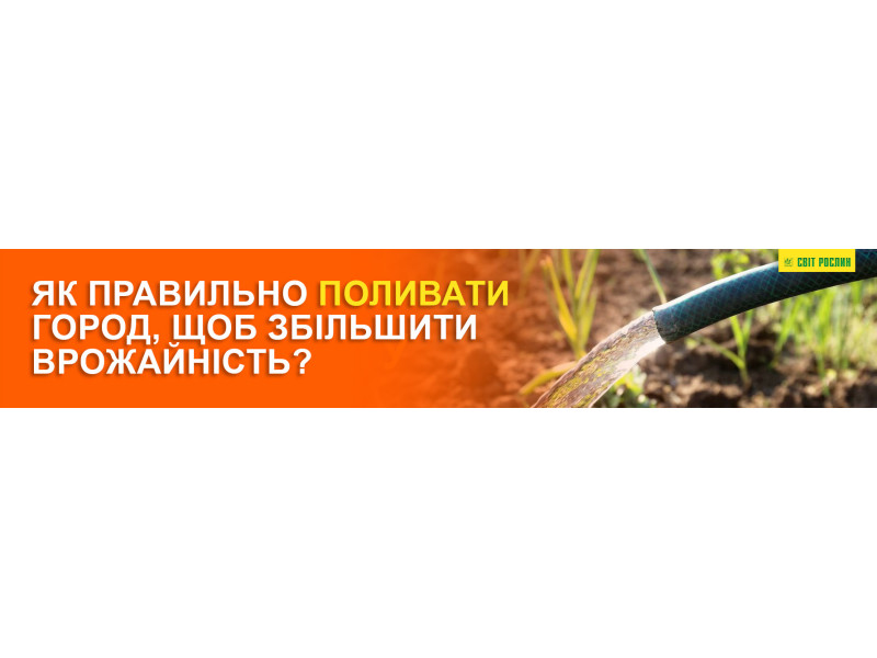 Как правильно поливать огород, чтобы увеличить урожайность?