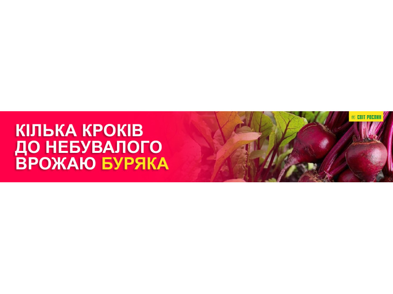Несколько шагов к небывалому урожаю свеклы