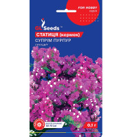 Насіння Статиця Суприм Пурпур GL Seeds 0,1 г
