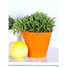 Вазон Twister 17 см 2 л оранжевый