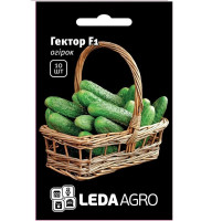 Насіння Огірка Гектор F1 10 нас Leda Agro