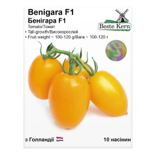Насіння Томат Бенігара (KS 1430) F1 10 нас Beste Kern