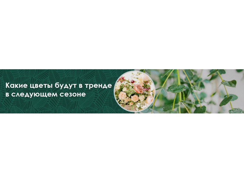 Які квіти будуть найбажанішіми цієї осені