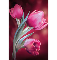 Алмазная мозаика Мгновения весны 20*30 см