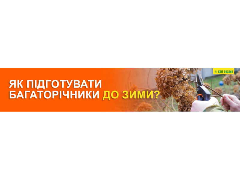Как подготовить многолетники к зиме?