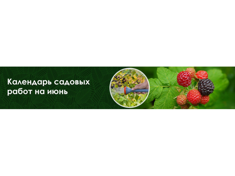 Календар садових робіт на червень