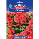 Семена Сальвии Сахара 0.2 г