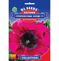 Насіння Петунія F1 Супербіссіма Бордо GL Seeds 10 шт