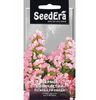 Насіння Кермек виїмчастий Рожева Гірлянда 0,2 г Seedera