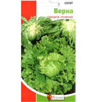 Насіння Салат Верна 1 г Яскрава