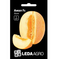 Насіння дині Амал F1 5 нас LedaAgro