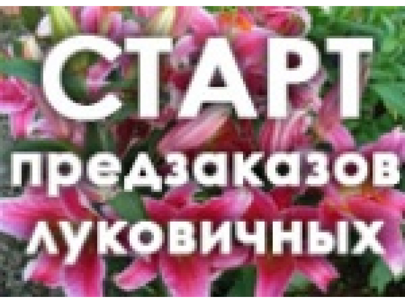 Старт попередных замовлень цибулинних!