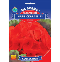 Насіння Пеларгонія Найт Скарлет F1 5 насінин GL Seeds