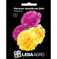Насіння Портулак Дабл махровий суміш 0,05 гр LedaAgro