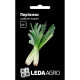 Насіння Цибуля порей Порілюкс 0,5 г LedaAgro