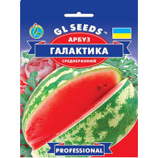 Насіння Кавун Галактика GL Seeds 10 г