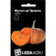 Тыква Мускат де Прованс 5 шт LedaAgro