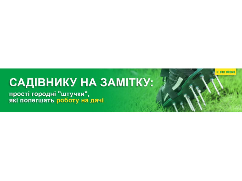Садівнику на замітку: прості городні 