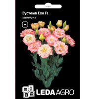 Насіння Еустома Ехо F1 шампань 5 шт Leda Agro