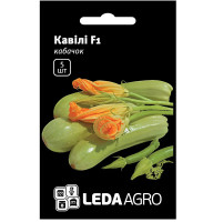 Семена Кабачок Кавили F1 5 семян LedaAgro