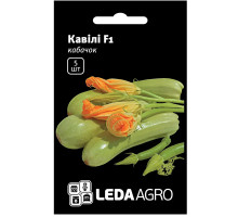 Семена Кабачок Кавили F1 5 семян LedaAgro