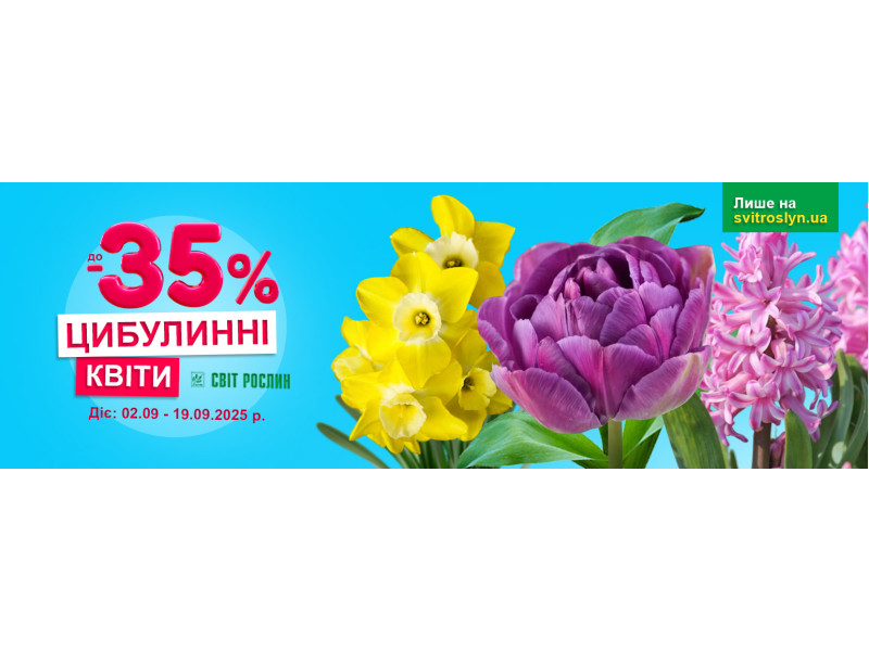 Осінні знижки до -35% на квіти цибулинні