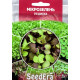 Насіння Мікрозелень Редиска 10 г Seedera