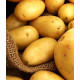 Картофель Бюррен 1 кг (1 репродукция), фракция 40-60