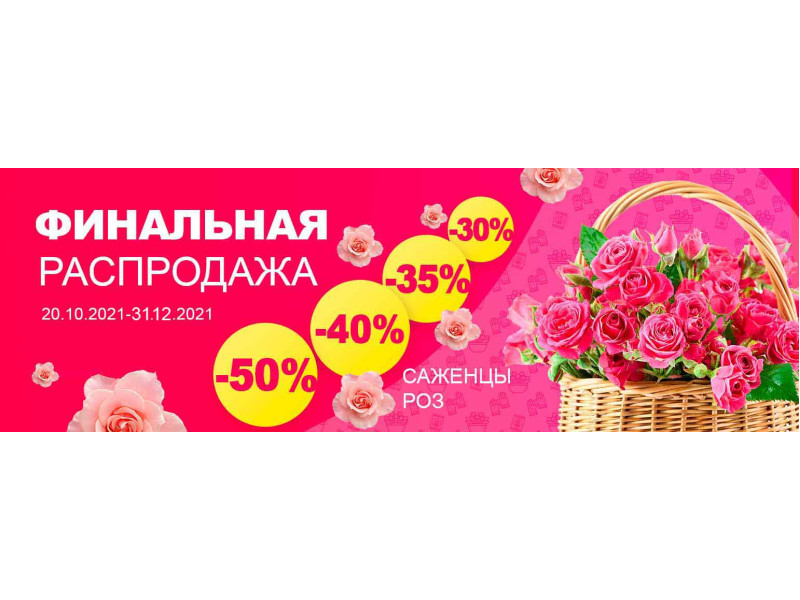 Розпродаж саджанців троянд до -50%