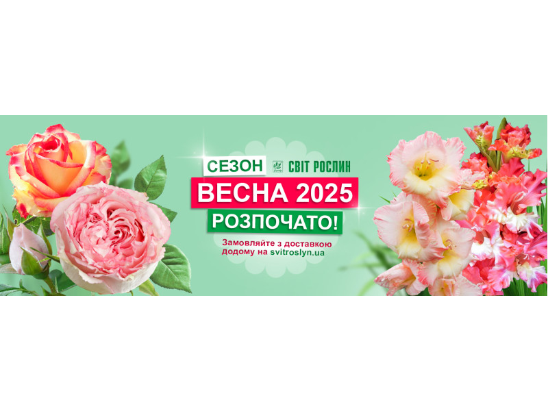 Розпочинаємо новий сезон 2025!