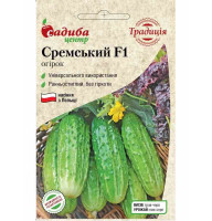 Огірок Сремський 20 нас СЦ Традиція