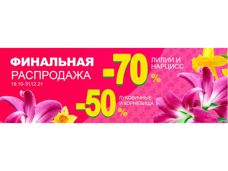 Фінальний розпродаж цибулинних