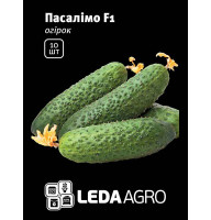 Насіння Огірок Пасалімо F1 самозапильний 10 шт  LedaAgro
