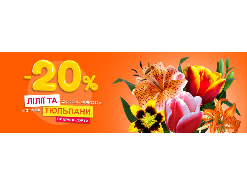 -20% на лілії та тюльпани