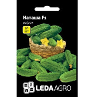 Огірок Наташа F1 50 нас LedaAgro
