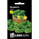 Огірок Наташа F1 50 нас LedaAgro