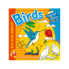 Раскраска Birds 200х200 мм 8 листов 22348