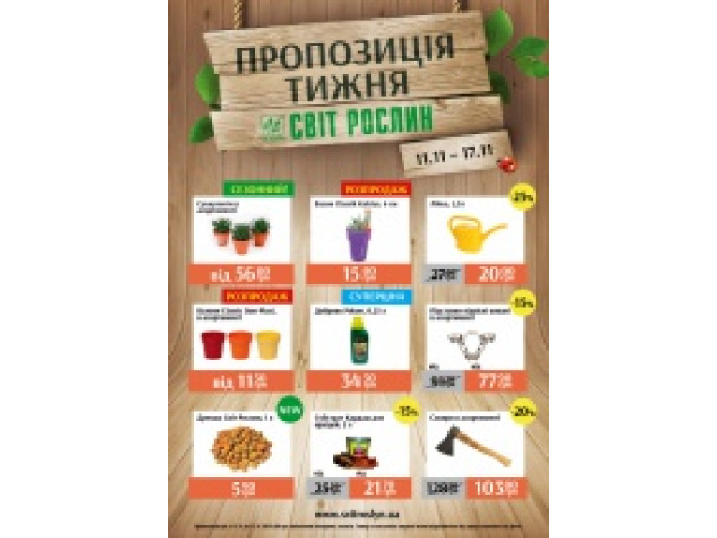 Предложение недели 11-17 ноября