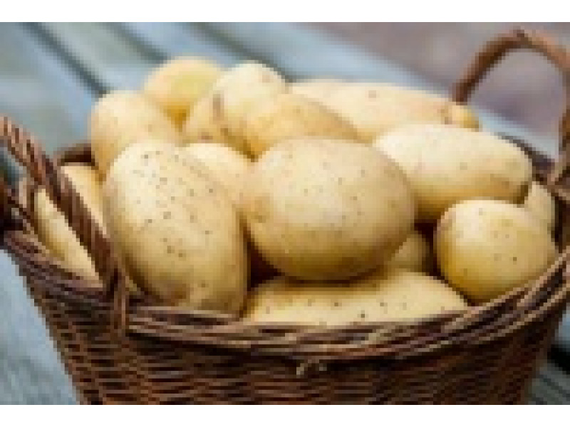 Обработка картофеля. Успейте купить!