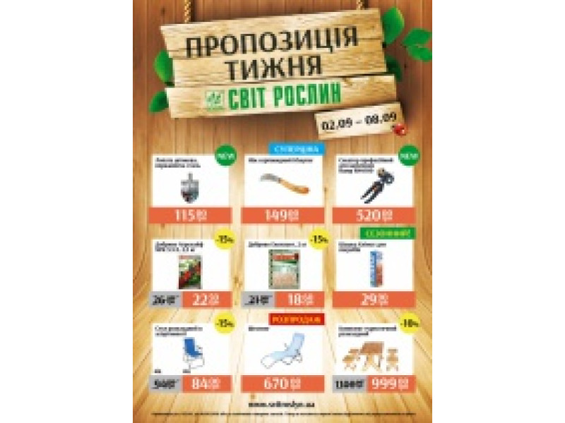 Предложение недели 2-8 сентября