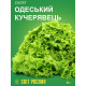 Семена салата Одесский Кучерявец 10 г 