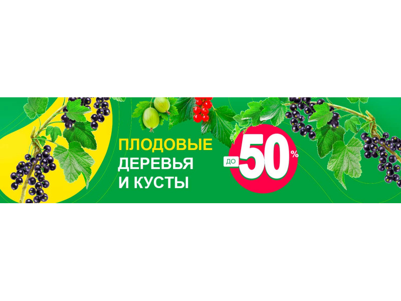 Осінній цінопад!  Знижки на саджанці до - 50%