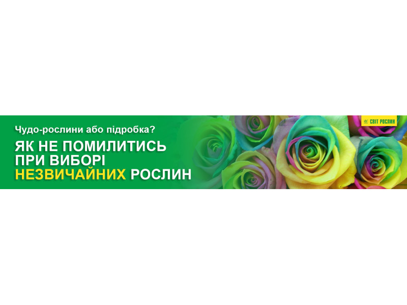 Чудо-растения или подделка? Как не обмануться при выборе необычных растений