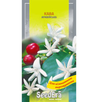 Насіння Квіти Кава аравійська кімнатна 10 нас  Seedera