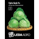 Насіння Капуста Грін Бой F1 для квашення 20 шт LedaAgro