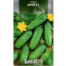 Насіння Огірок Круїз 5 г Seedera