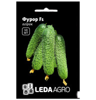 Насіння Огірок Фурор F1 10 насінин LedaAgro