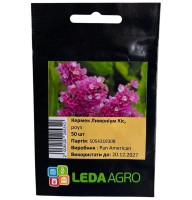 Семена Кермек (лимониум) Кис Роуз 50 семян LedaAgro